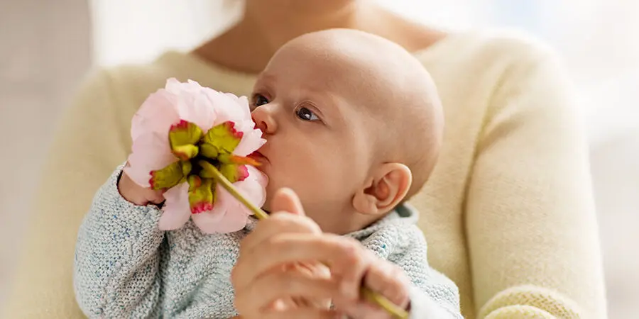 Baby’s Sense of Smell Development Stages, Milestones & Tips for Parents
