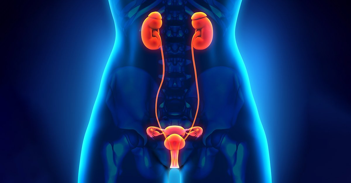 Natural Treatment for Overactive Bladder